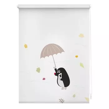 Рулонные шторы Lichtblick Maulwurf, 70x150x5 см, красочный