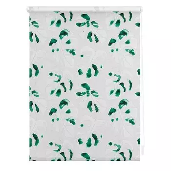 Рулонные шторы Lichtblick Monstera, 70x150x6 см, зеленый