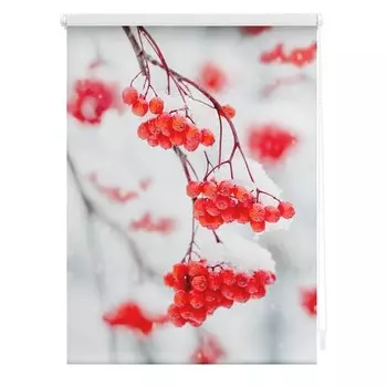 Рулонные шторы Lichtblick Vogelbeeren, 100x150x6 см, красный/белый