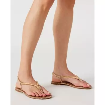 Румяна Ashani Мульти Steve Madden