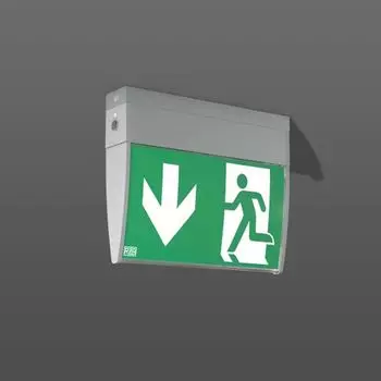 RZB Светодиодный фонарь безопасности универсальный D 4W 4000K 1LED настенный/потолочный 24м один/два 671996.004.2 RZB Zimmermann