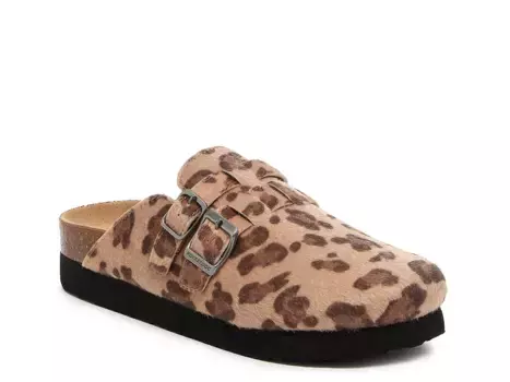 Сабо Abel Plus Clog Rocket Dog, леопардовый принт