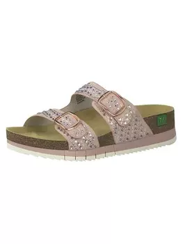 Сабо Jana, роза