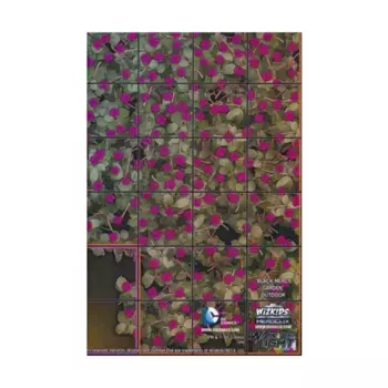 Сад Черного Милосердия/Двусторонняя карта Исамо, HeroClix - Maps