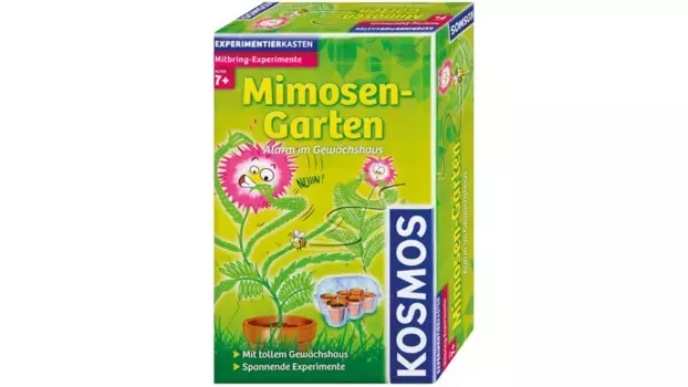 Сад мимоз Kosmos