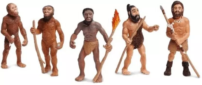 Сафари, Эволюция человека Safari