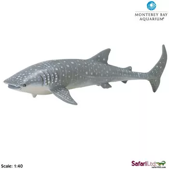 Safari Ltd 210602 Китовая акула 1:40 24x8,5см MONTEREY B