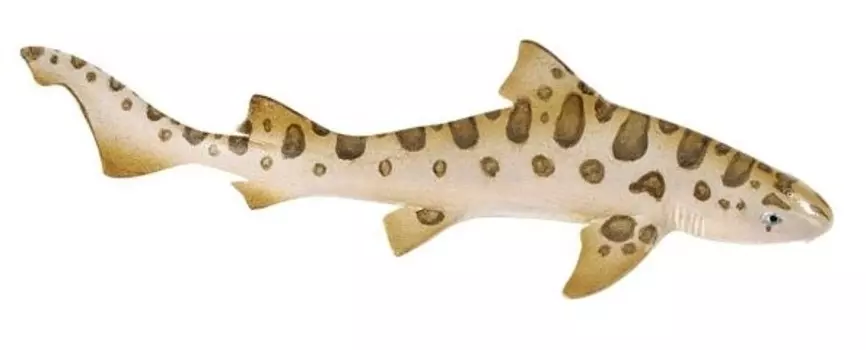 Safari Ltd 274929 Леопардовая акула 14 х 3см