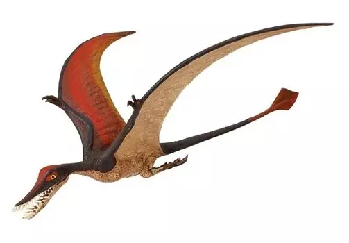 Safari Ltd 300329 Динозавр Рамфорих 18x20,5см