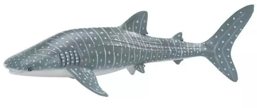 Safari Ltd 422129 Китовая акула 23 х 5,5см