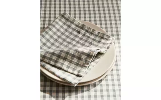 Салфетка в клеточку (2 шт.) Zara Home, синий