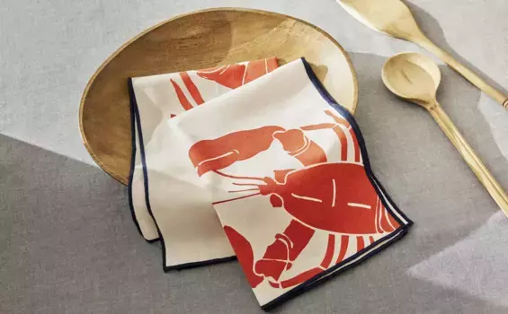 Салфетки для чистки омаров (2 шт.) Zara Home, синий