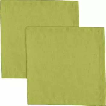 Салфетки в упаковке, 2 шт. 161454 Erwin Mller, зеленый