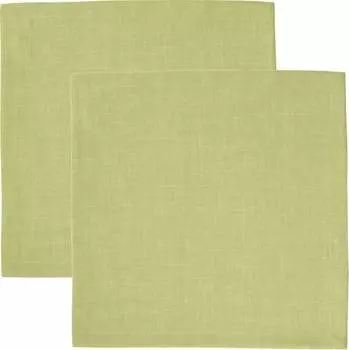 Салфетки в упаковке, 2 шт. 204534 Sander, зеленый