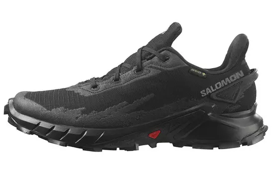 SALOMON Alphacross 4 GORE-TEX 'Black'