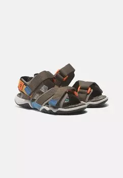 Сандалии ADVENTURE SEEKER BACKSTRAP Timberland, коричневый