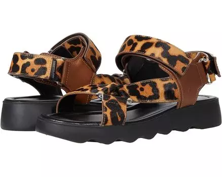 Сандалии Aerosoles Wave, леопардовый