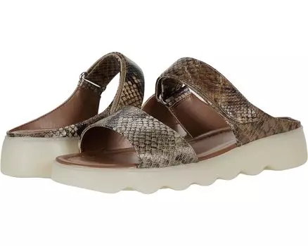 Сандалии Aerosoles Willow, цвет Brwngreen Comb