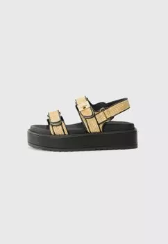 Сандалии BIGMONA - Platform sandals Steve Madden, черный