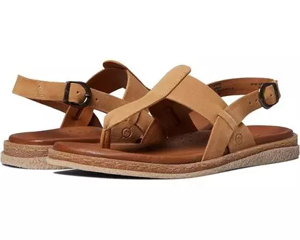 Сандалии Born Cammie, оранжевый