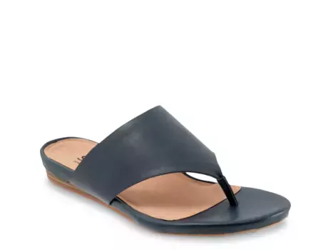 Сандалии Chandler Sandal Softwalk, синий