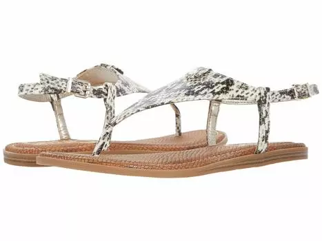 Сандалии Circus NY, Carolina