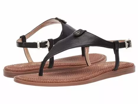 Сандалии Circus NY, Carolina