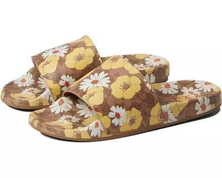 Сандалии COACH Udele Sig Floral Sport Slide, бежевый