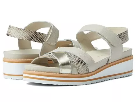 Сандалии David Tate, Echo