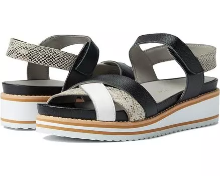 Сандалии David Tate Echo, черный мульти