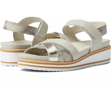 Сандалии David Tate Echo, цвет Beige Multi