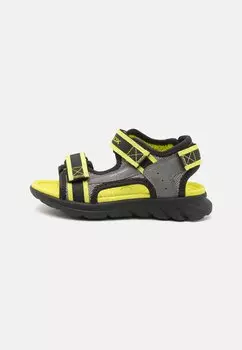 Сандалии для ходьбы AIRADYUM Geox, серый