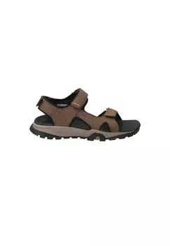 Сандалии для ходьбы LINCOLN PEAK STRAP Timberland, коричневый