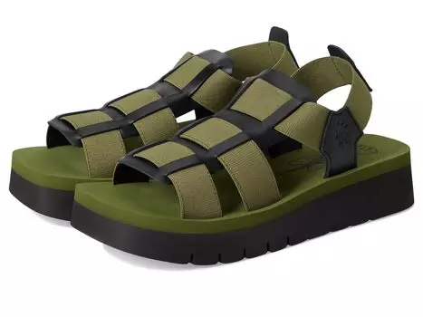 Сандалии FLY LONDON SAMB245FLY, цвет Black/Agreen