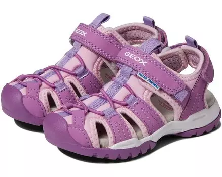 Сандалии Geox Borealis 14, цвет Purple/Pink