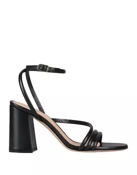 Сандалии Gianvito Rossi, черный
