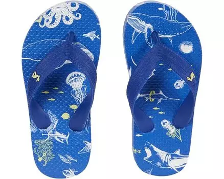 Сандалии Joules Flip-Flop, цвет Blue Sea Animals