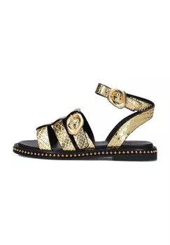 Сандалии Noa Harmon, золотой