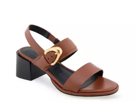 Сандалии Nova Sandal Aerosoles, темно-зеленый