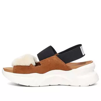Сандалии other sports sandals 'chestnut brown black white' Ugg, мультиколор