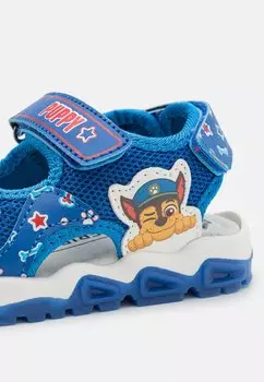 Сандалии Paw Patrol Friboo, синий