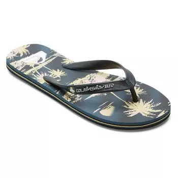 Сандалии Quiksilver Molokai Air Flow, черный