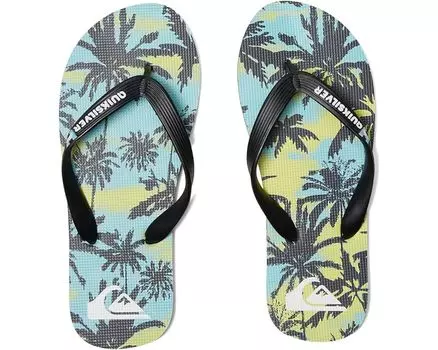 Сандалии Quiksilver Molokai Art, цвет Blue 5