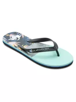 Сандалии Quiksilver "Molokai Panel", синий