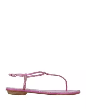 Сандалии Rene' Caovilla, лиловый