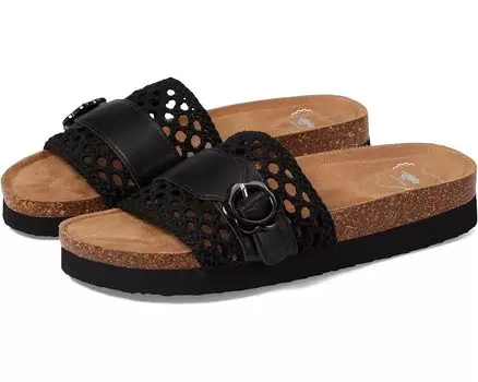 Сандалии Rocket Dog Alma, черный