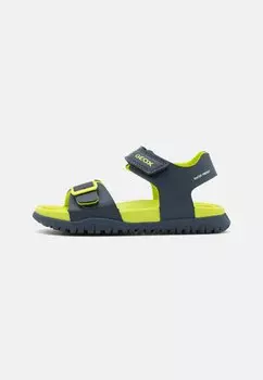 Сандалии с ремешками FOMMIEX Geox, цвет navy/lime