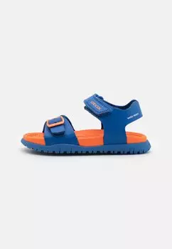 Сандалии с ремешками FOMMIEX Geox, цвет royal/orange
