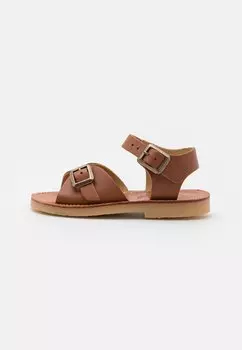 Сандалии с ремешками SONNY Young Soles, цвет chestnut brown