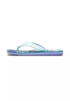 Сандалии с Т-образной застежкой MOLOKAI LAYBACK Quiksilver, фиолетовый